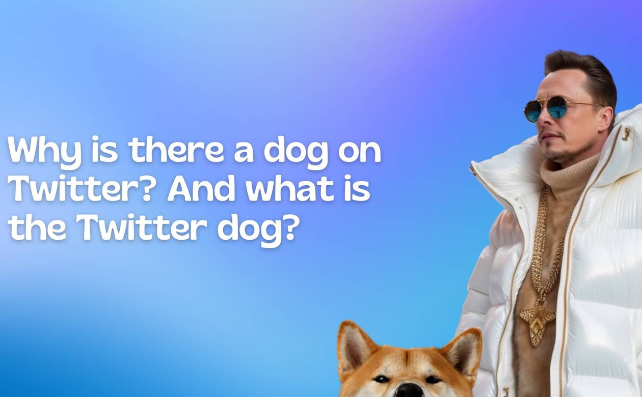 Why is there a dog on Twitter