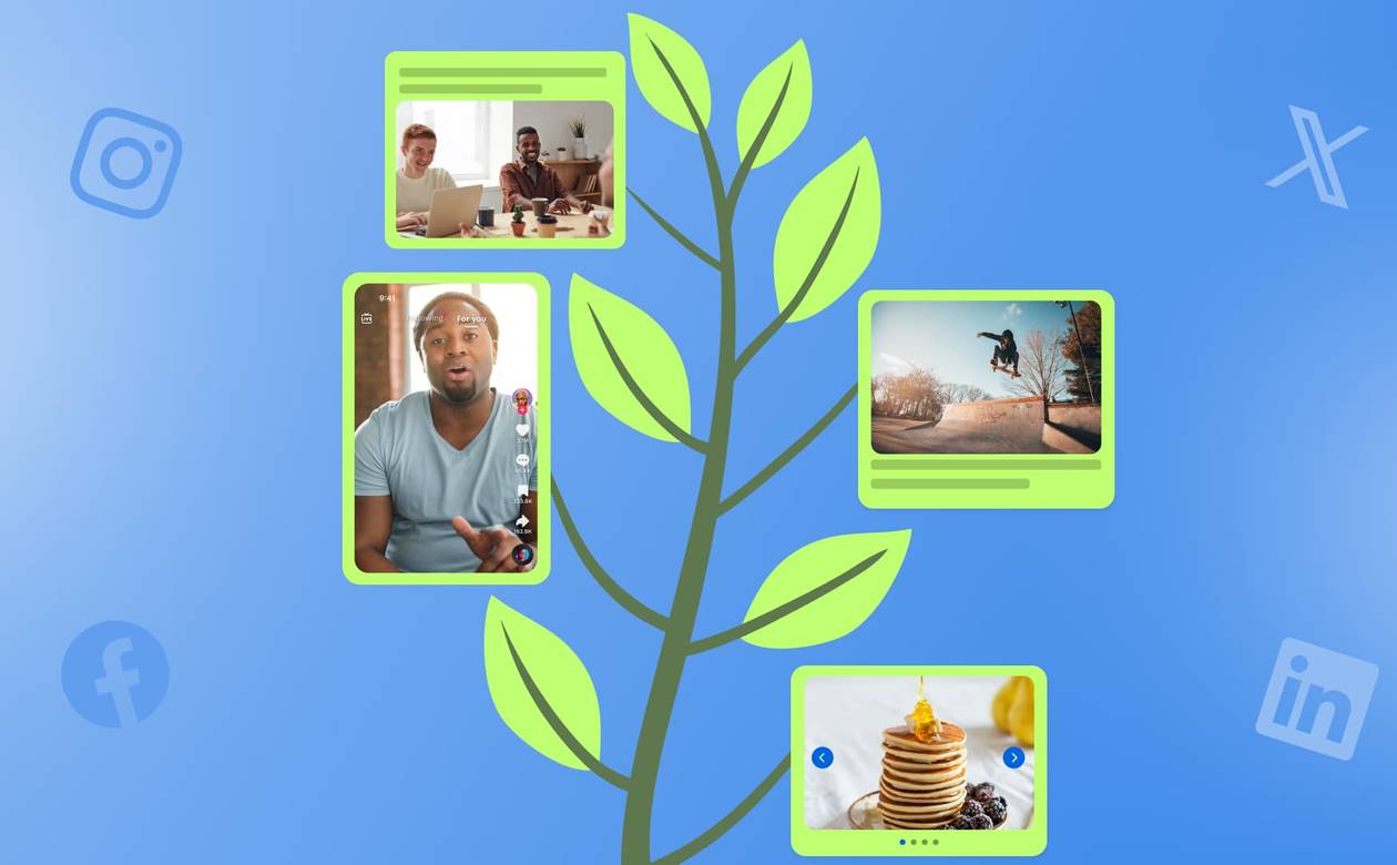An evergreen plant sprouting content like blog posts, videos, and more.