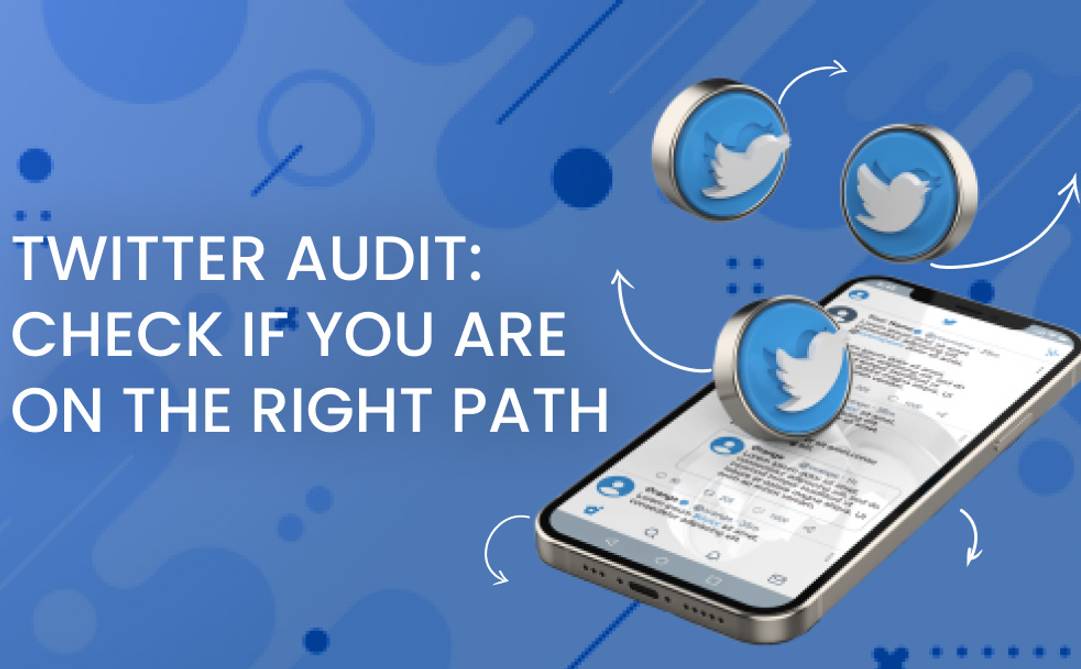 Twitter Audit_ Check If You Are on the Right Path
